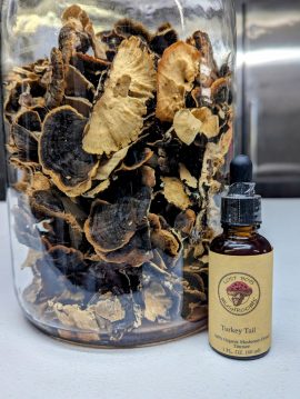 Turkey Tail Tincture