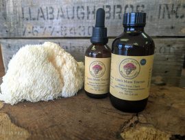 Lion's Mane Tincture