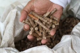 Hardwood Fuel Pellets for Substrate