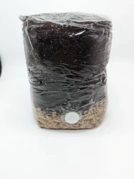 All-In-One Mushroom Grow Bag 2lb. or 5lb.