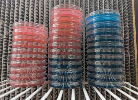 Half Pint Liquid Culture Solution Jar with Injection Port Lid