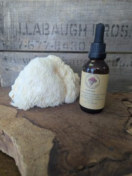 Small Batch Lions Mane & Cordyceps
